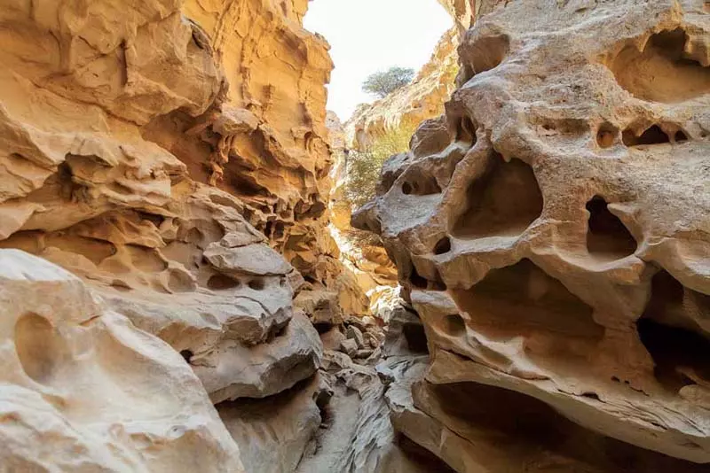 Qeshm-Travel-Itinerary-Four-Days-of-Adventure-in-the-Jewel-of-the-Persian-Gulf
